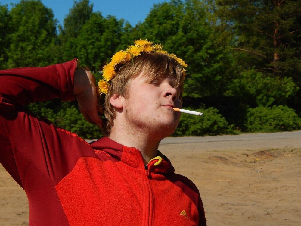 ���������� �����-���������, ���� ������� ���������, 29 ���, ������������ ��� ������, ����� � ���������, c�������� ���������