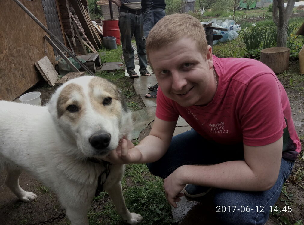 ���� 10077517 ������� ������, 35 ���, ���� ���������� � �������