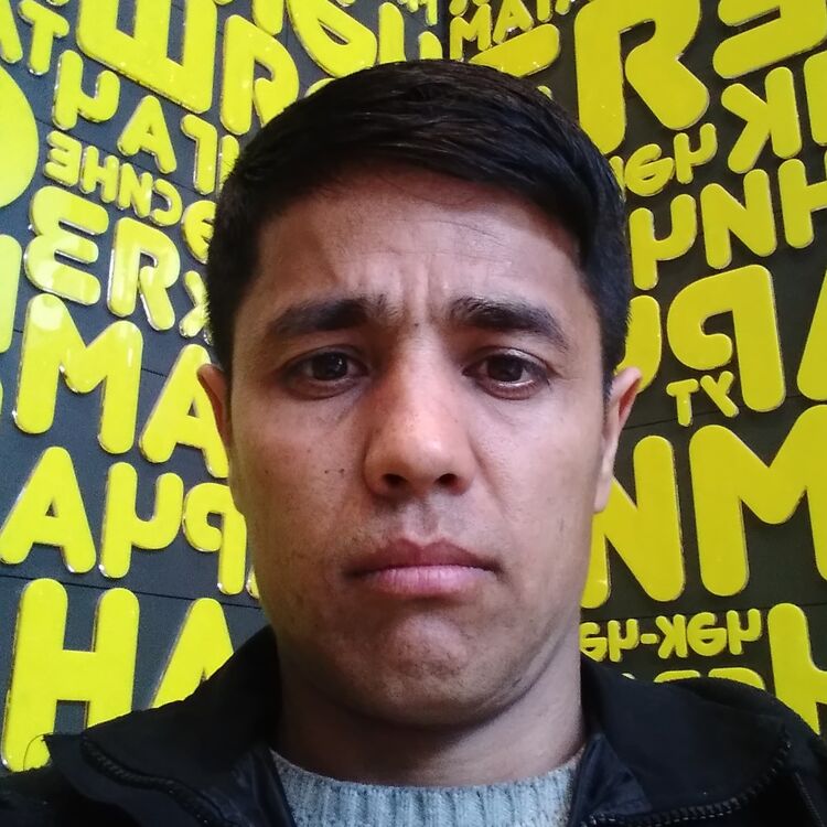 ���� 42430097 ������� ����, 36 ���, ���� ���������� � ������