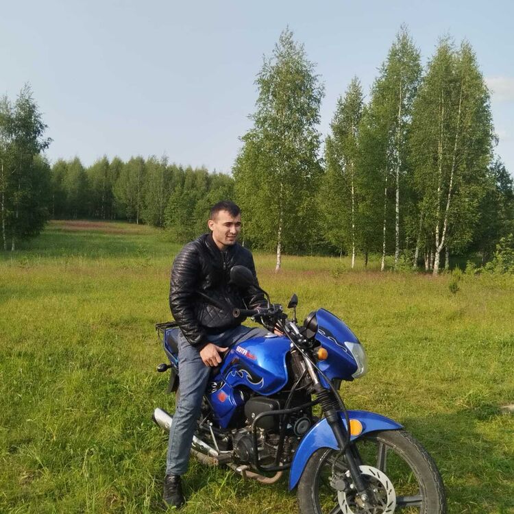  52028217  , 33 ,    