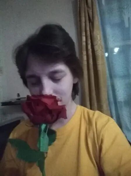   ,   , 29 ,     , c 