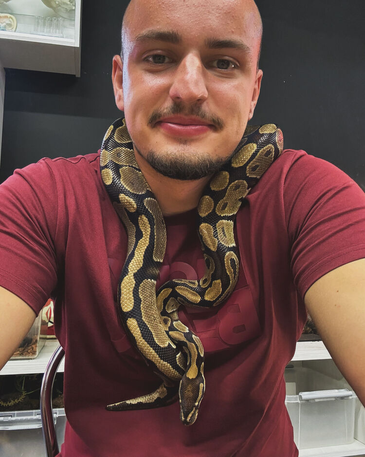  -,   , 25 ,   ,   