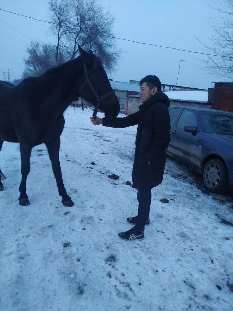 ���� 18869877 ������� Altynbek, 30 ���, ���� ���������� � �������