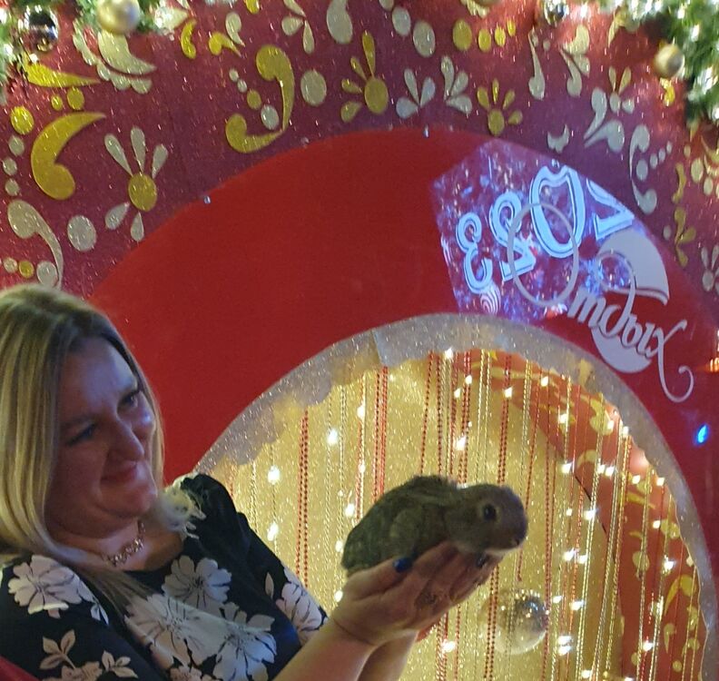 ���� 32831117 ������� �����, 41 ���, ���� ���������� � ������������