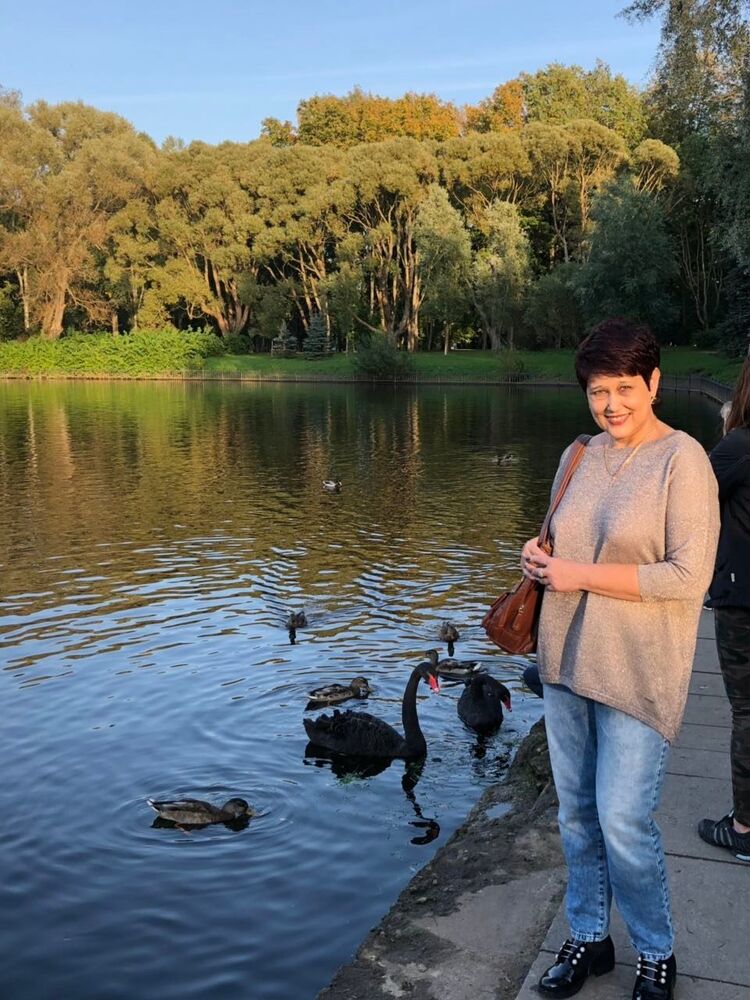  53635527  , 54 ,    -