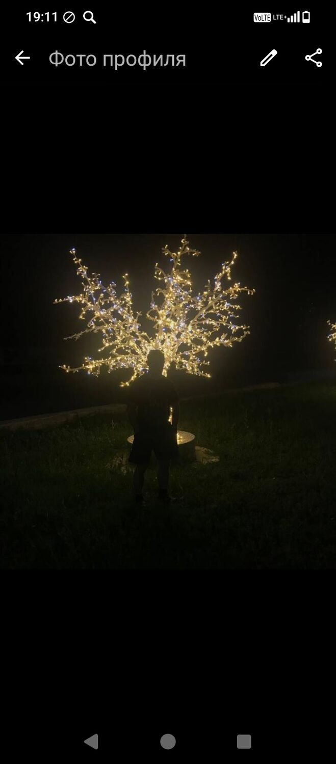 ���� 53429877 ������� ����, 27 ���, ���� ���������� � ��������