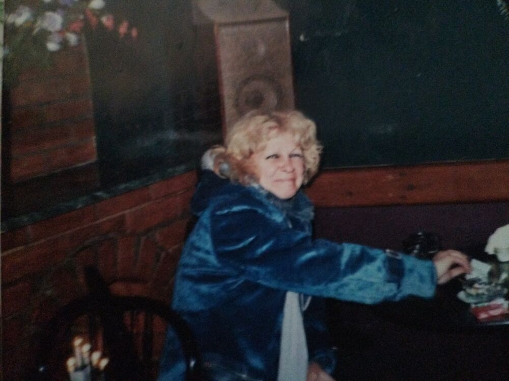  54497577  , 48 ,    -