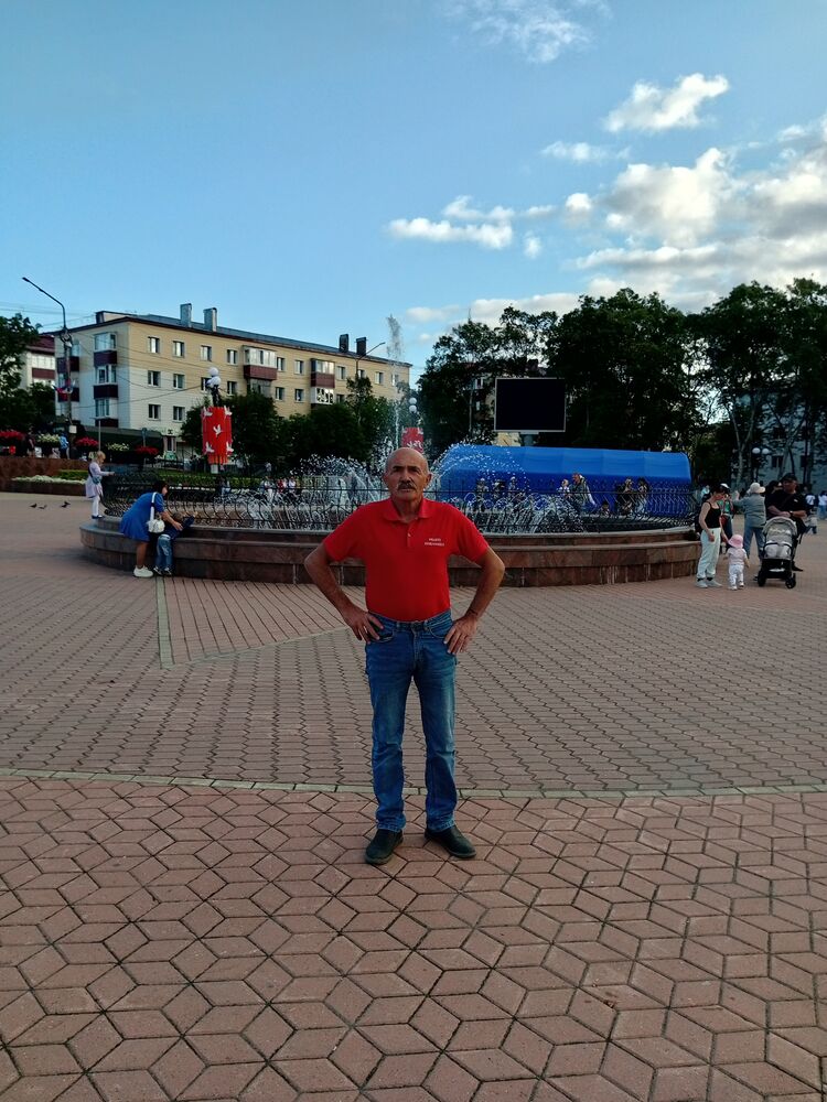  53578557  , 62 ,    -