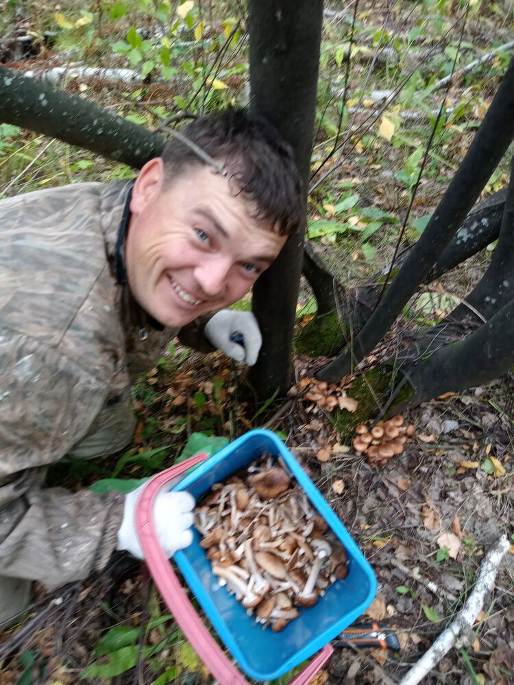  ,   , 33 ,   c 