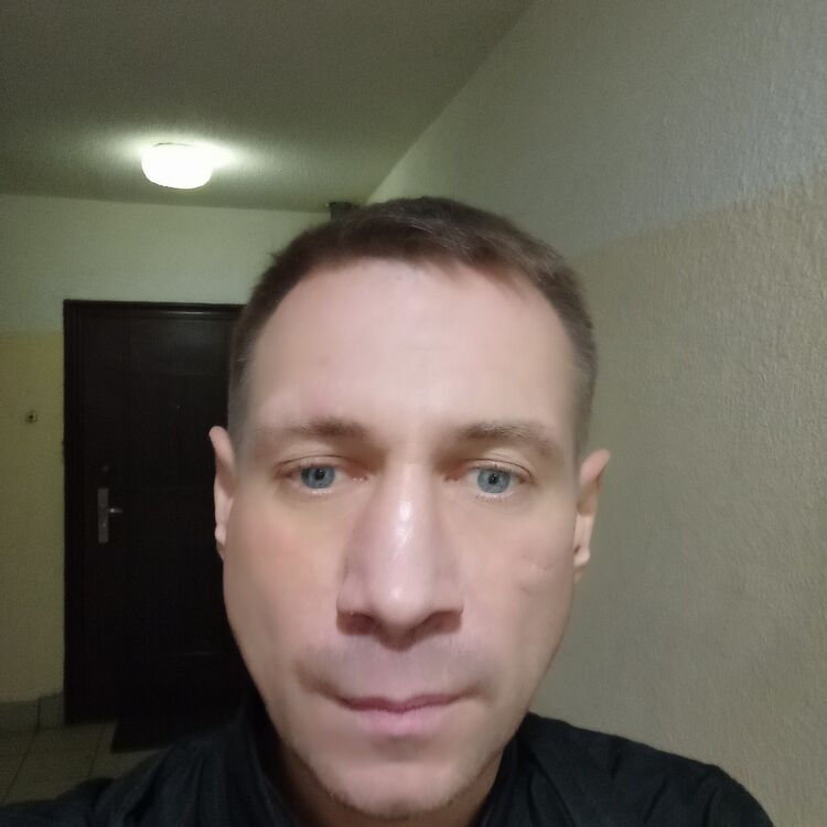  39719817  , 44 ,    -