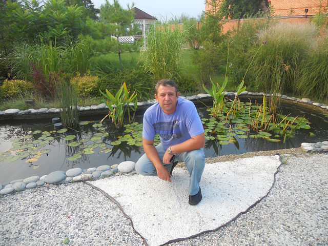  11315147  , 56 ,    --