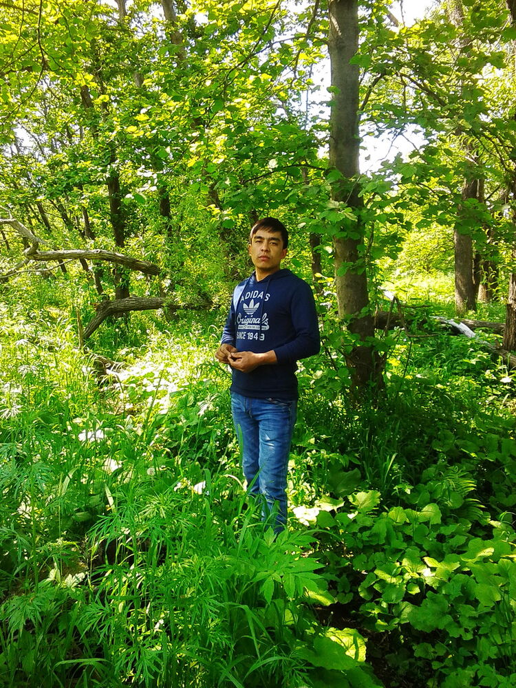 ���������� ������������, ���� ������� �����, 33 ����, ������������ ��� ������, ����� � ���������, c�������� ���������