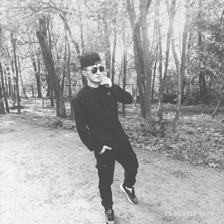  29283087  , 28 ,    -