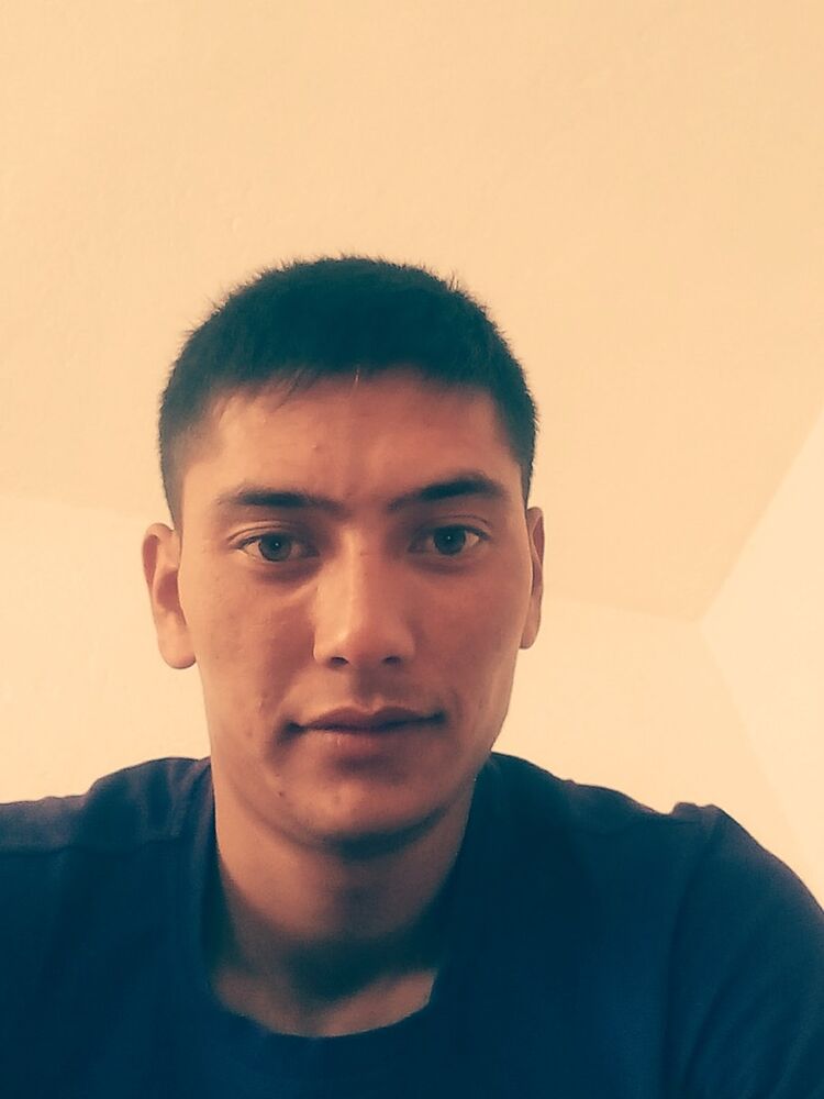  4908787  , 34 ,    