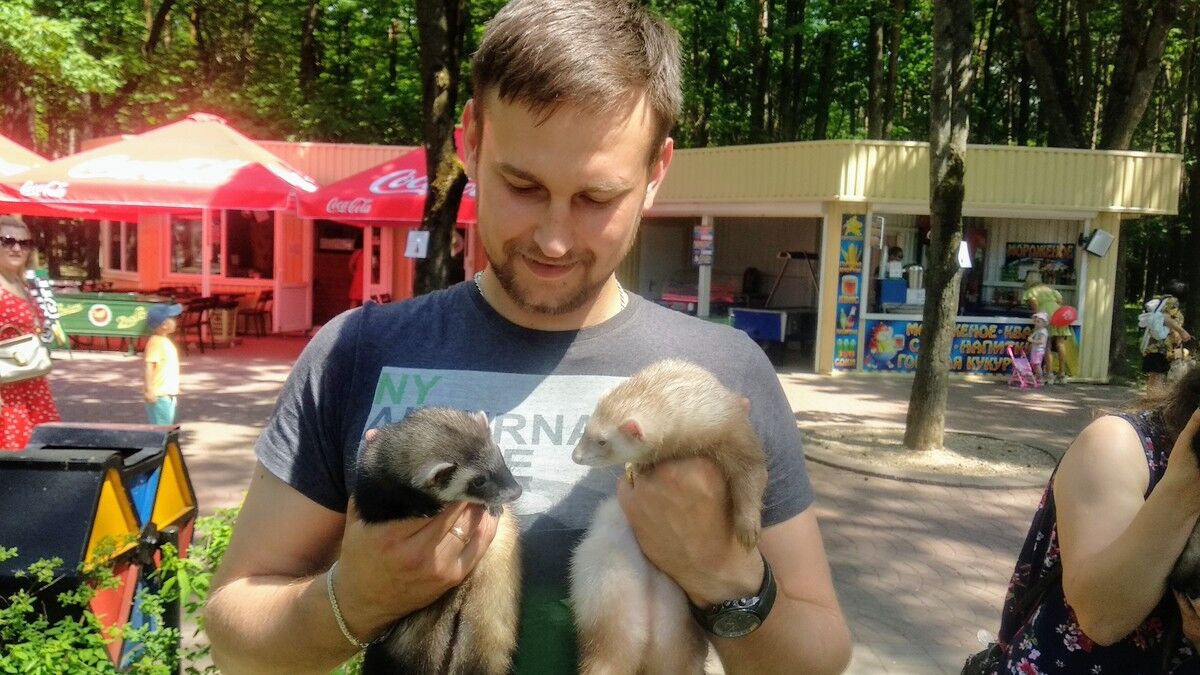 ���������� �����, ���� ������� ����, 31 ���, ������������ 