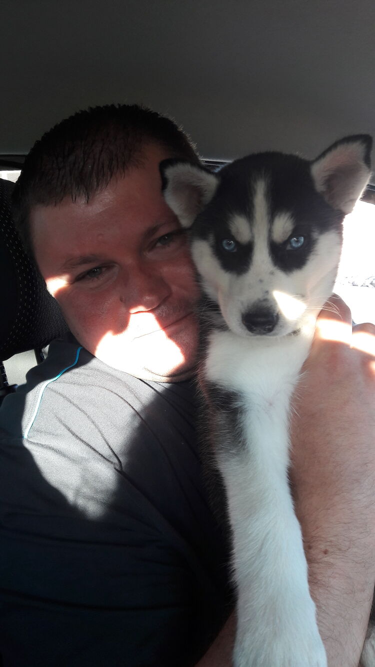 ���������� �������, ���� ������� ���������, 44 ����, ������������ ��� ������, ����� � ���������, c�������� ���������