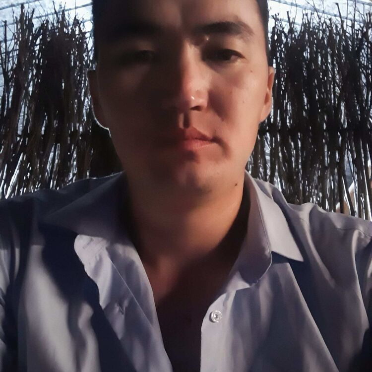  47337417  , 40 ,    