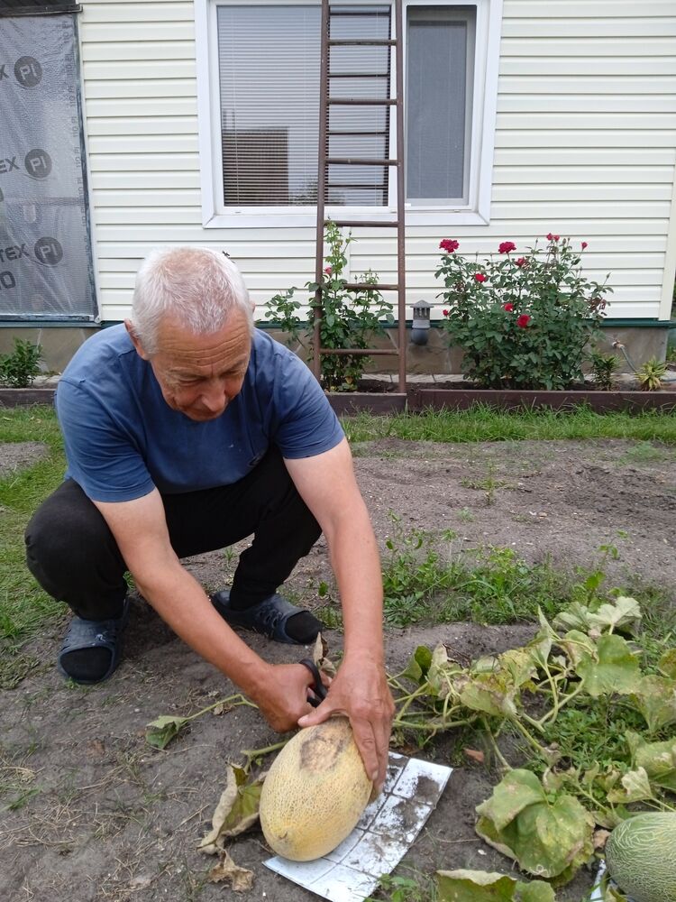 ���������� ������, ���� ������� ���������, 64 ����, ������������ ��� ������, ����� � ���������, c�������� ���������