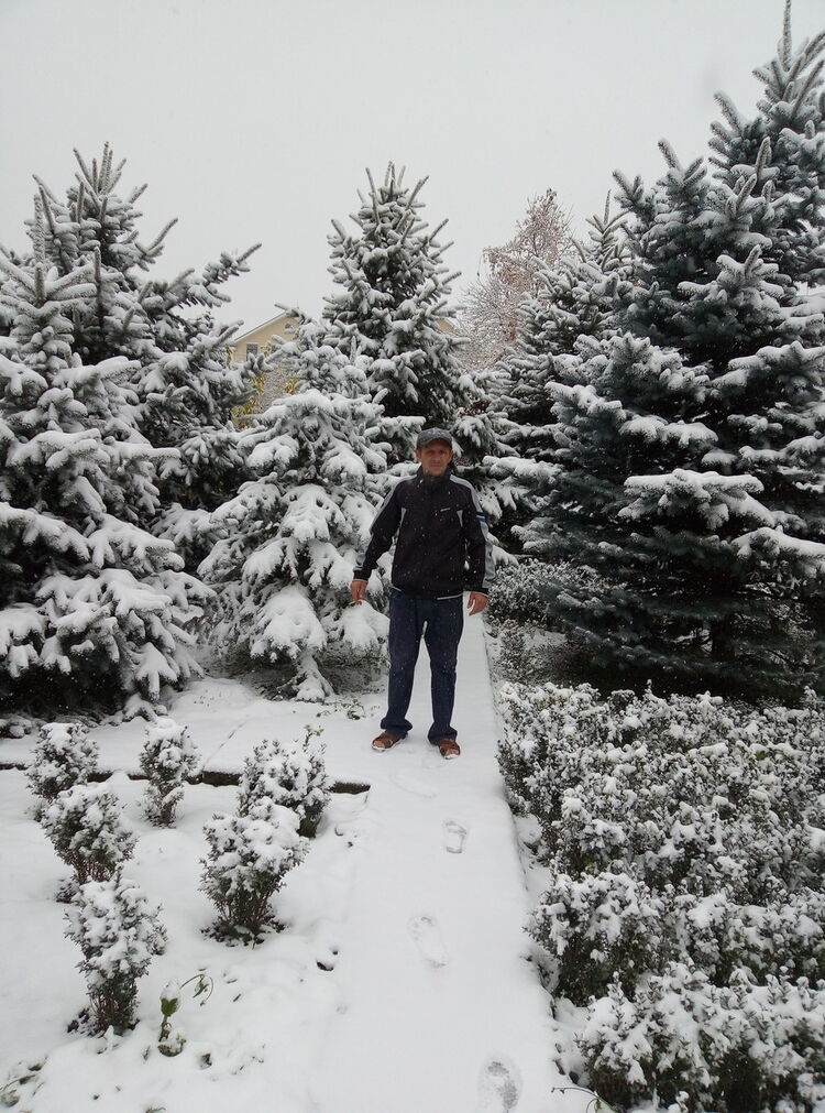 ���� 19197387 ������� ����, 46 ���, ���� ���������� � ����������