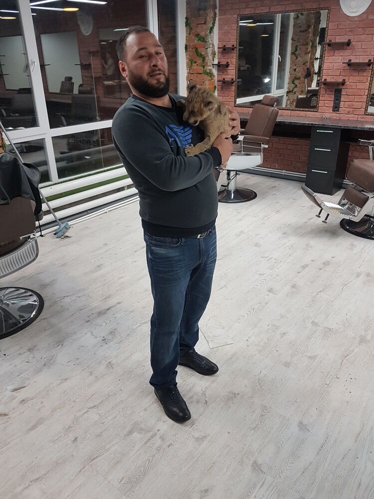 ���� 53609447 ������� �����, 41 ���, ���� ���������� � ������������