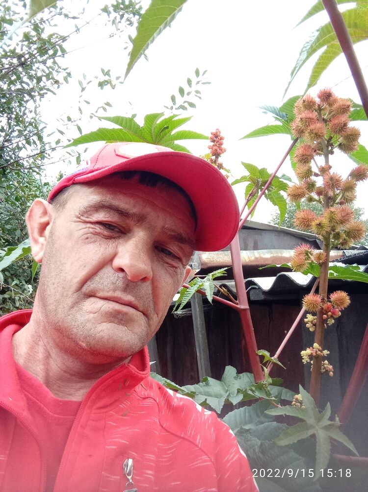  ,   , 50 ,     , c , 