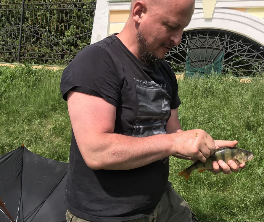 ���������� ������, ���� ������� ����, 48 ���, ������������ ��� ������, ����� � ���������