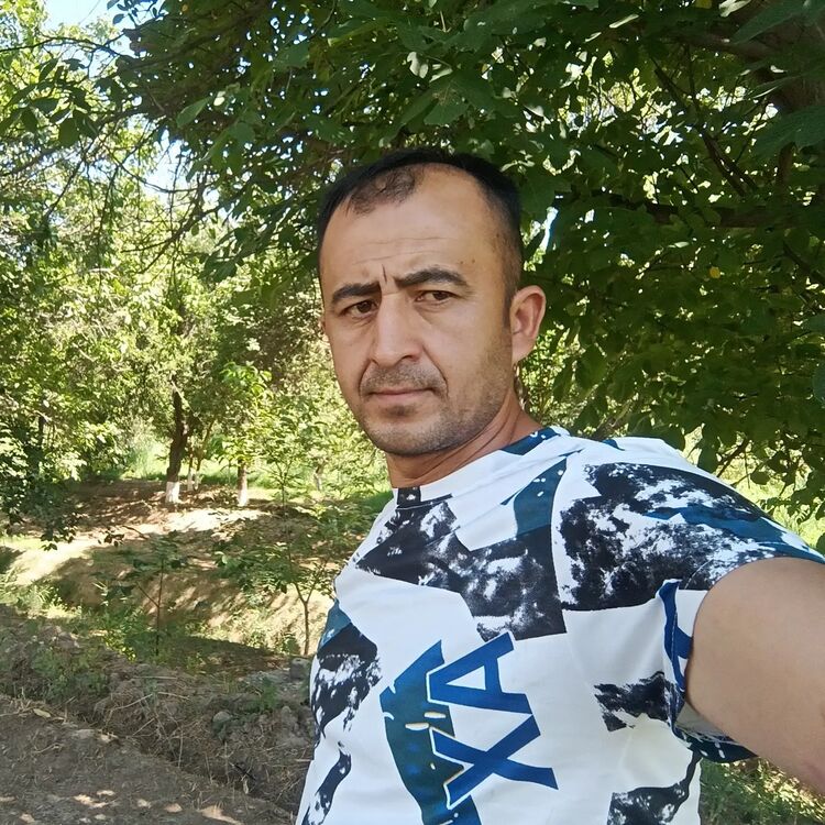 ���� 50865887 ������� ������, 38 ���, ���� ���������� � ������