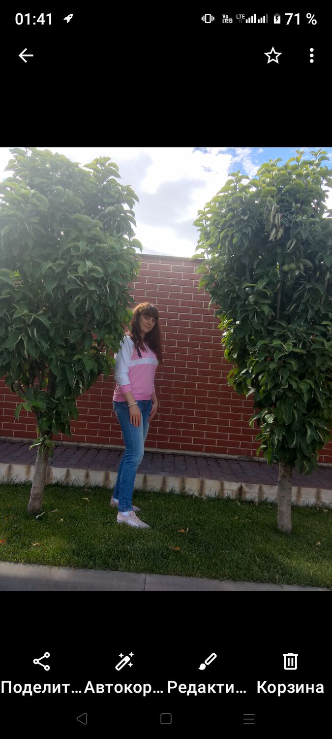  43633407  , 31 ,    -