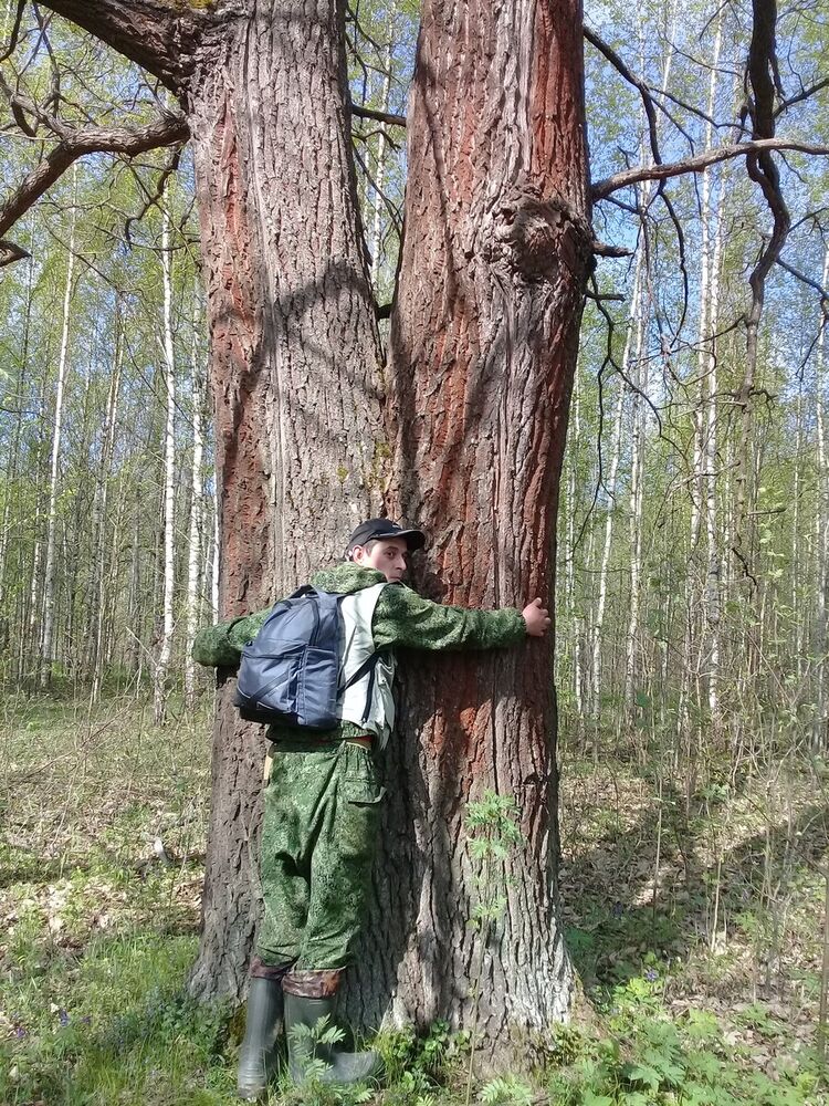   ,   , 43 ,     