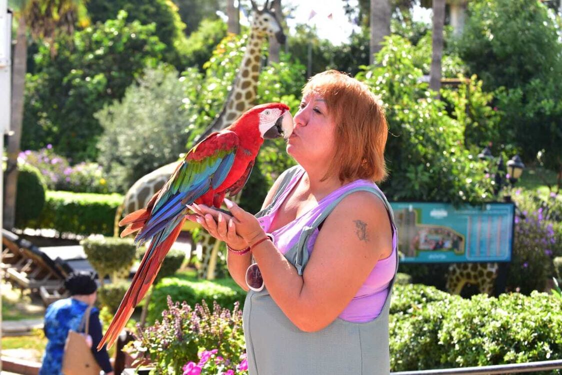 ���������� ������, ���� ������� ����, 56 ���, ������������ ��� ����� � ���������, c�������� ���������