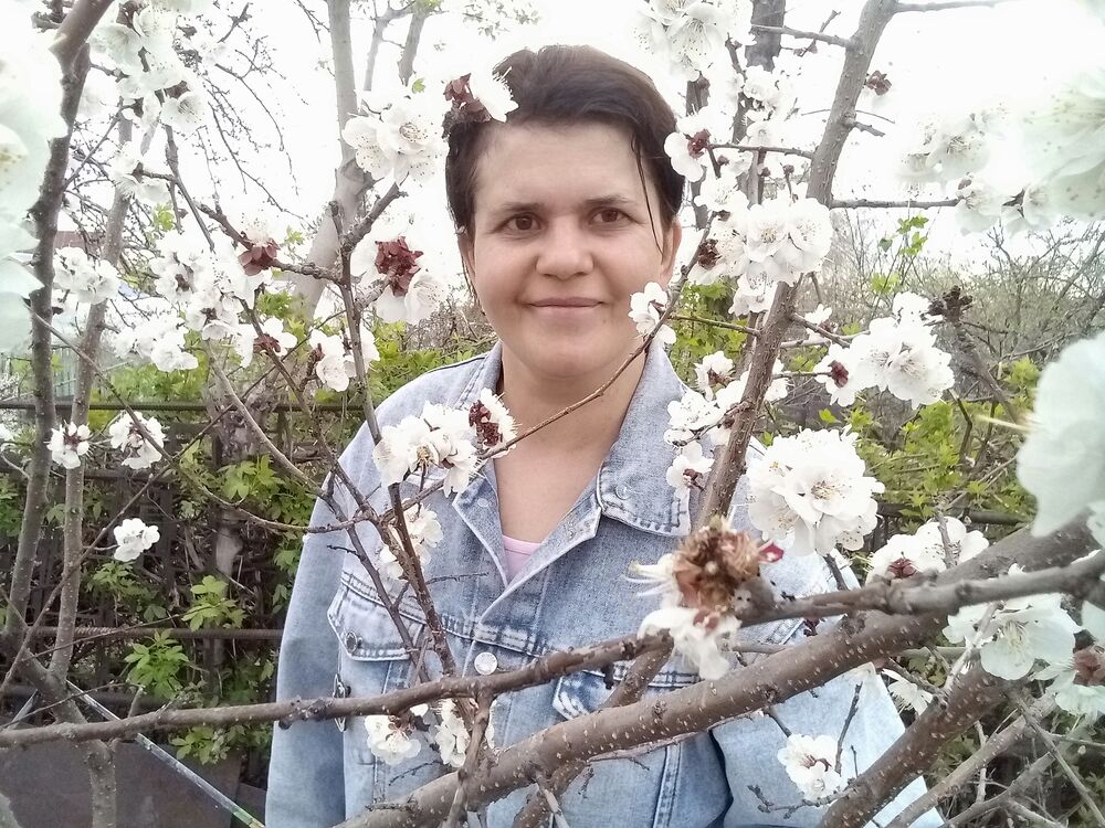 ���� 51775097 ������� ������, 38 ���, ���� ���������� � �������������