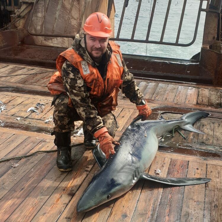 ���� 23633687 ������� ����, 39 ���, ���� ���������� � ��������������-����������