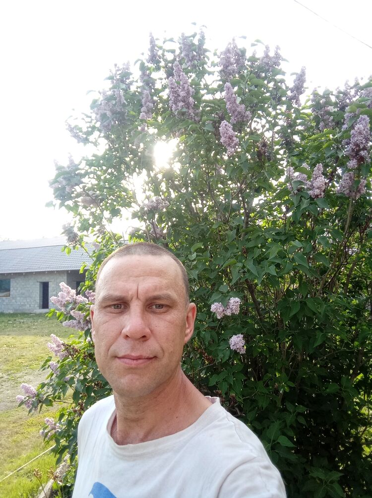  -,   , 41 ,   ,   