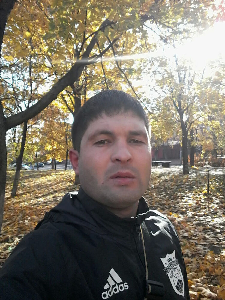 ���������� Novy, ���� ������� �����, 41 ���, ������������ ��� ������, ����� � ���������