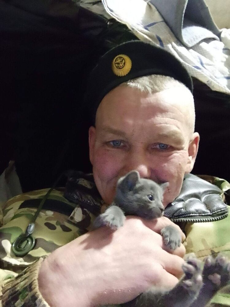 ���� 53595807 ������� �������, 50 ���, ���� ���������� � �����������