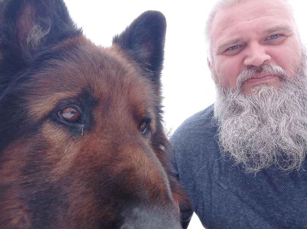 ���� 25903017 ������� �������, 50 ���, ���� ���������� � ������