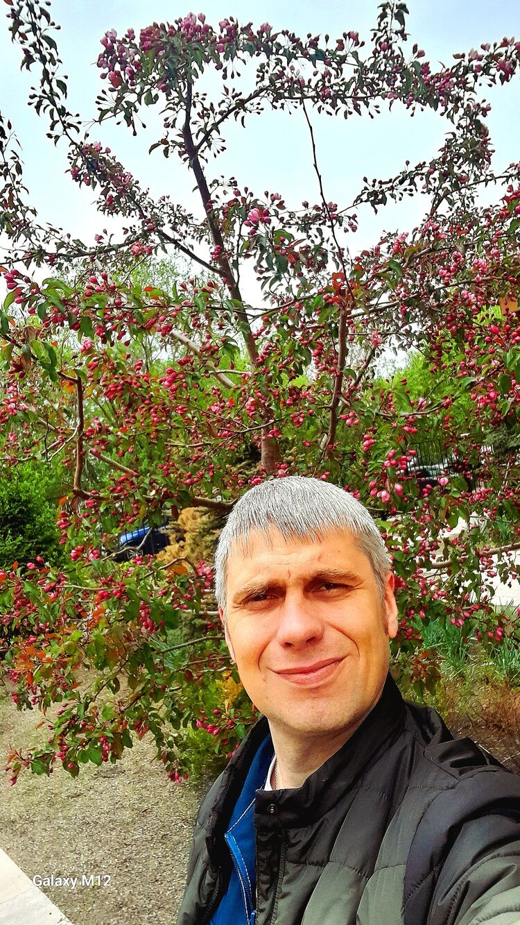 ���� 52425717 ������� ����, 94 ����, ���� ���������� � �����������