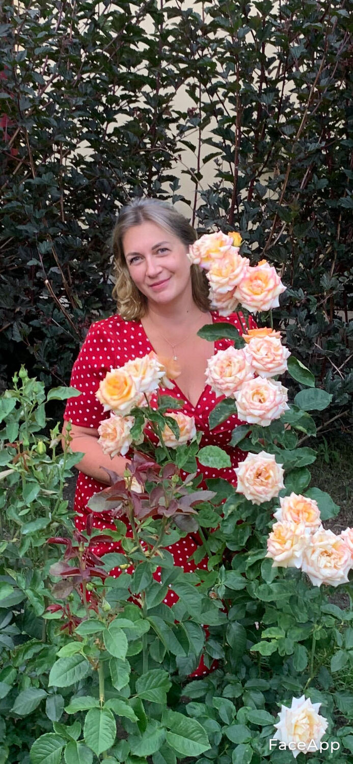 ���� 29053677 ������� ��������, 62 ����, ���� ���������� � �����-����������