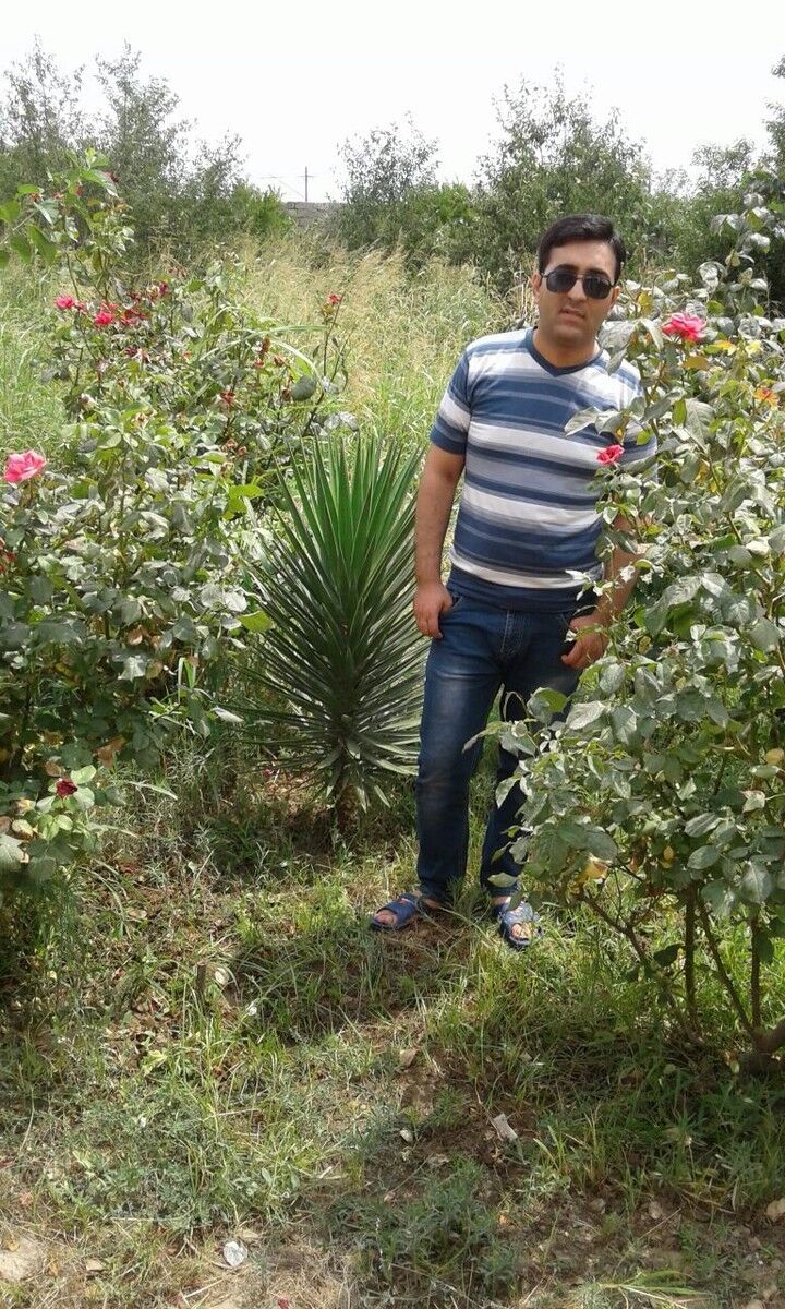  ,   CEMIL, 36 ,   ,   , c 
