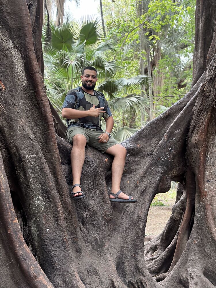  ,   Alikr, 36 ,   ,   