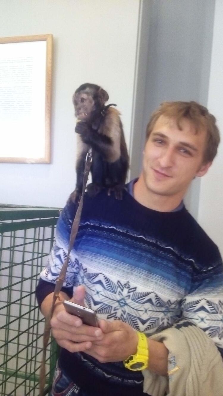 ���������� ������, ���� ������� Artem, 34 ����, ������������ ��� ������, ����� � ���������