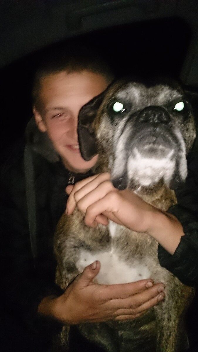 ���������� �������, ���� ������� Marek, 30 ���, ������������ ��� ������, ����� � ���������, c�������� ���������