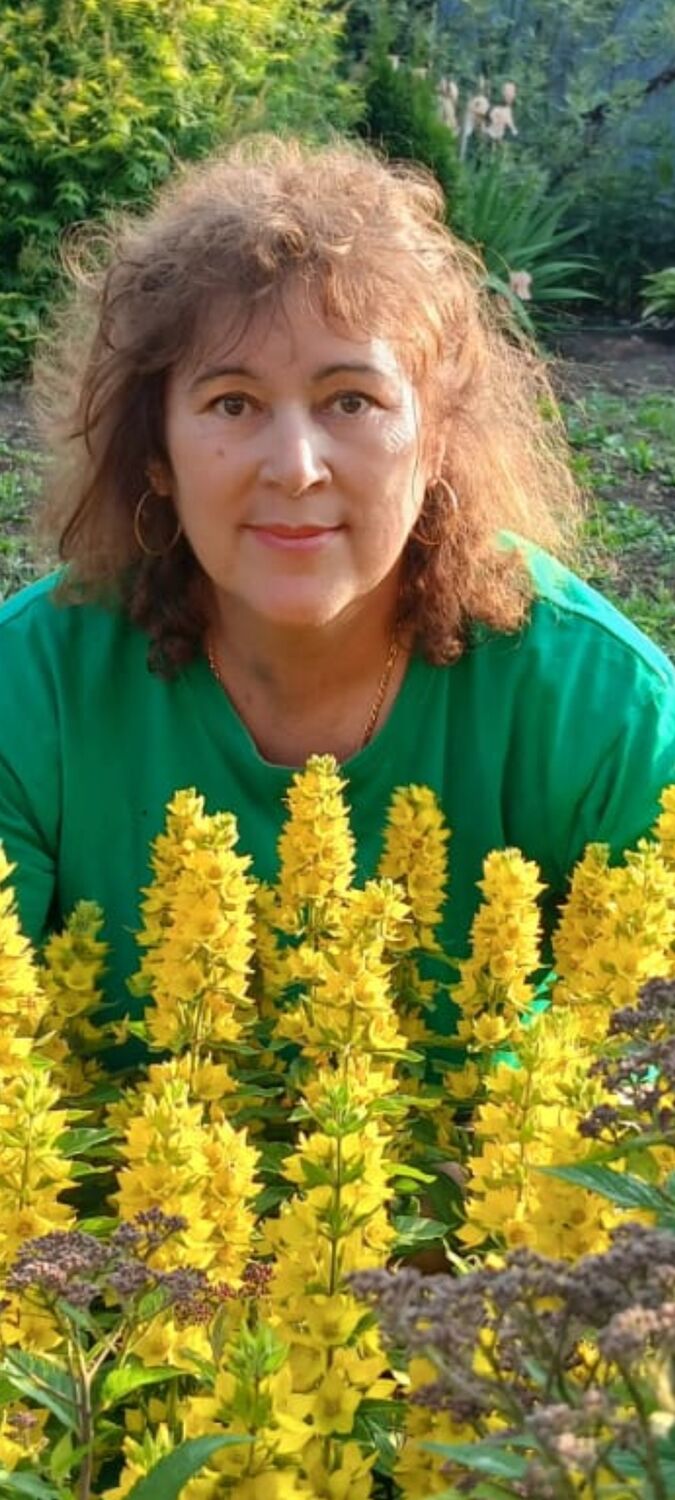  ,   , 60 ,   ,   