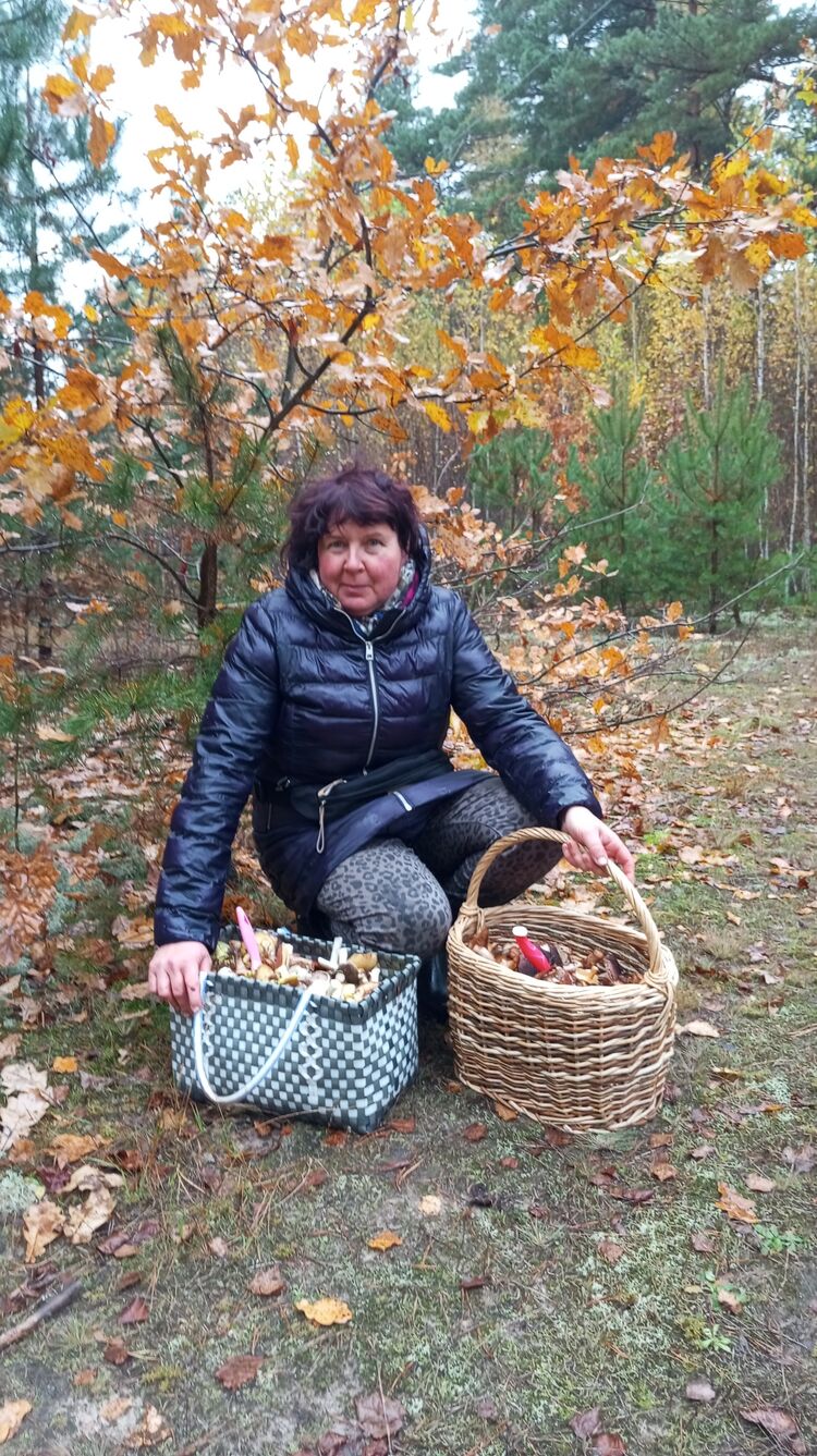 ���������� ����, ���� ������� �����, 48 ���, ������������ ��� ������, ����� � ���������