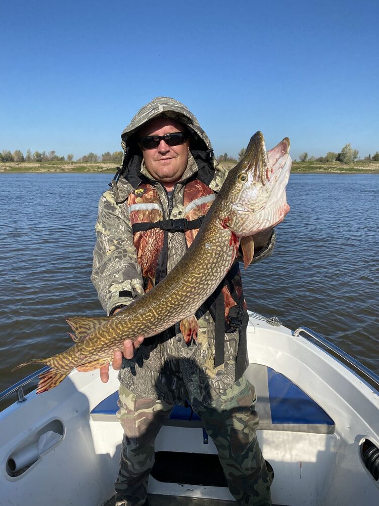 ���� 25916717 ������� �������, 46 ���, ���� ���������� � ������