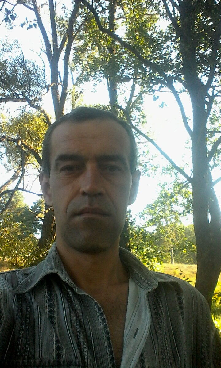  6598747  , 51 ,    