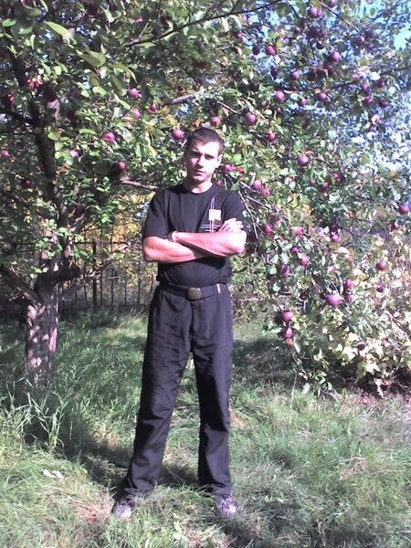 ���� 10062597 ������� ������, 40 ���, ���� ���������� � ������