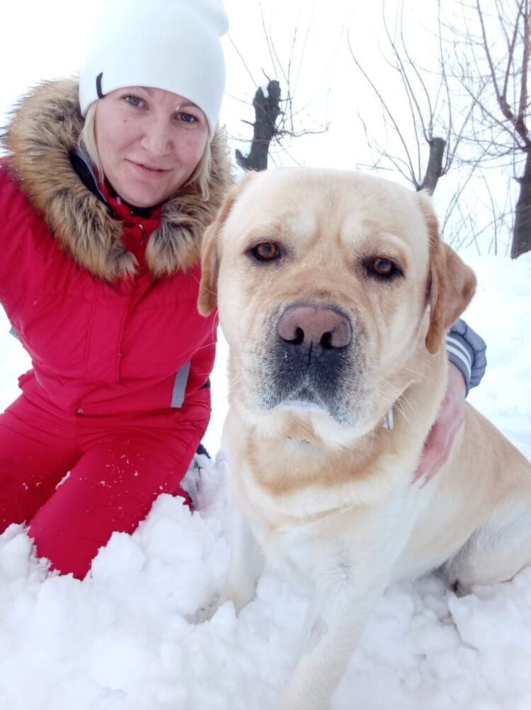 ���������� ��������, ���� ������� ��������, 34 ����, ������������ ��� c�������� ���������