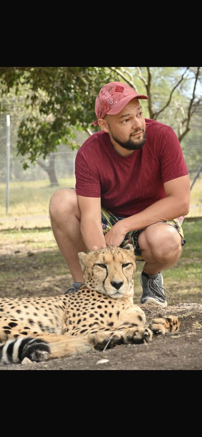 ���������� ���������, ���� ������� ������, 36 ���, ������������ ��� ������, ����� � ���������