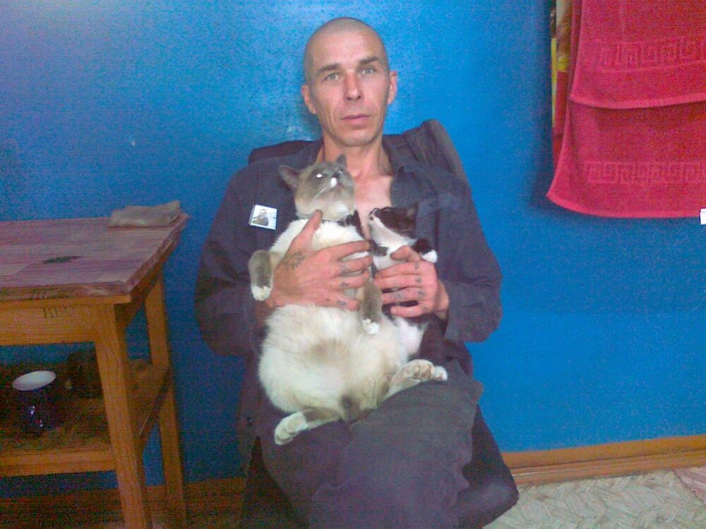  ,   , 51 ,   ,   , c , 